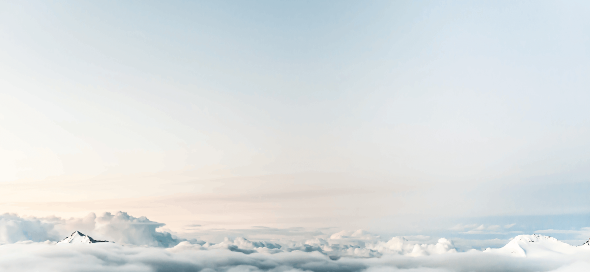 dominik-1.png (Demo)